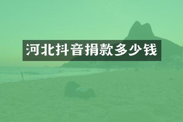 河北抖音捐款多少钱