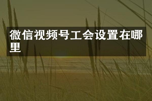 微信视频号工会设置在哪里