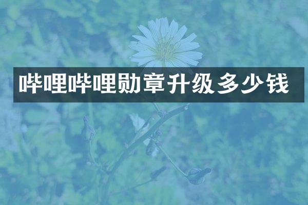 哔哩哔哩勋章升级多少钱