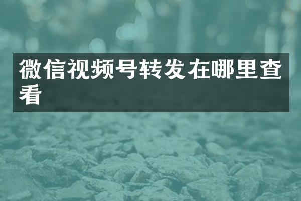 微信视频号转发在哪里查看