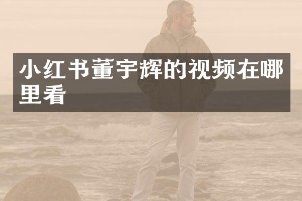小红书董宇辉的视频在哪里看
