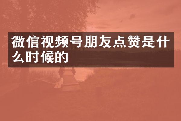 微信视频号朋友点赞是什么时候的