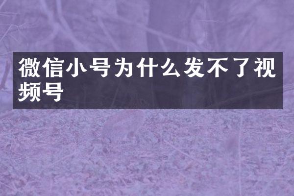 微信小号为什么发不了视频号