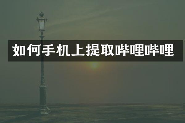 如何手机上提取哔哩哔哩