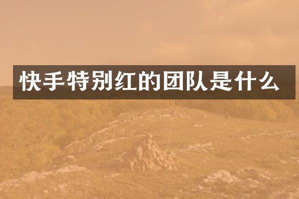 快手特别红的团队是什么