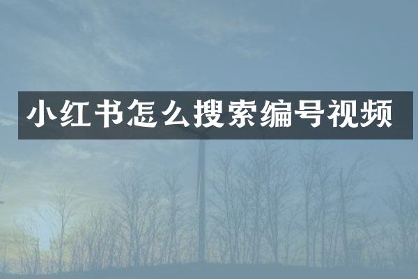 小红书怎么搜索编号视频