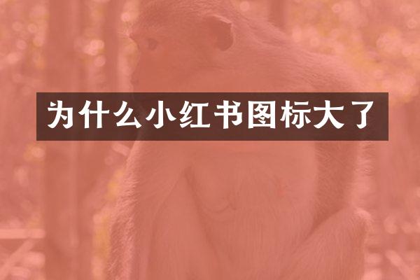 为什么小红书图标大了