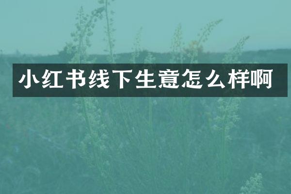 小红书线下生意怎么样啊