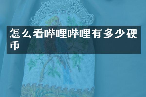 怎么看哔哩哔哩有多少硬币