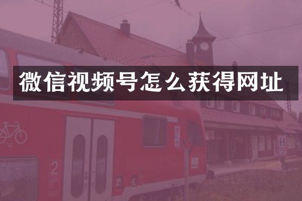 微信视频号怎么获得网址