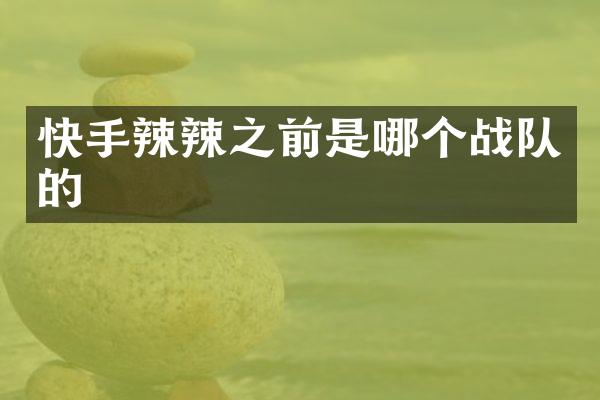 快手辣辣之前是哪个战队的