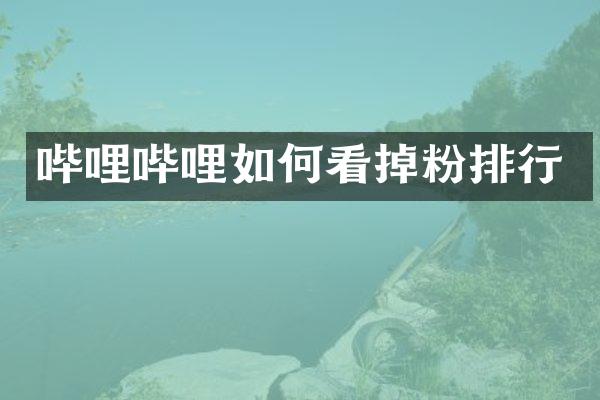 哔哩哔哩如何看掉粉排行