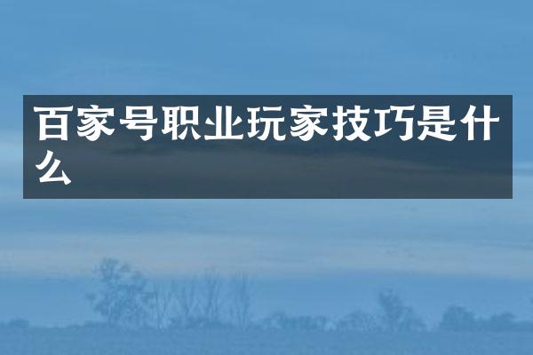 百家号职业玩家技巧是什么
