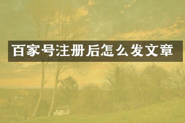 百家号注册后怎么发文章