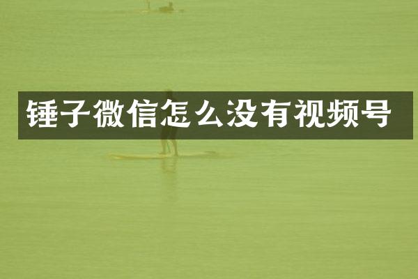 锤子微信怎么没有视频号
