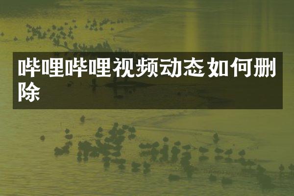 哔哩哔哩视频动态如何删除