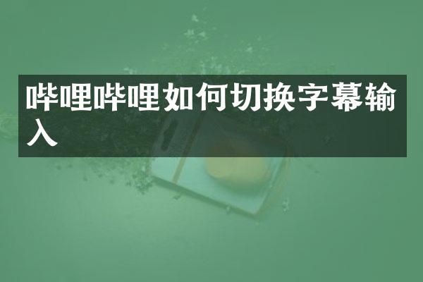 哔哩哔哩如何切换字幕输入