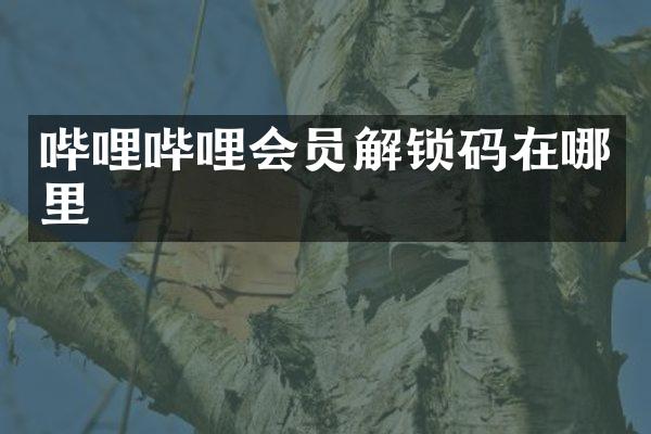 哔哩哔哩会员解锁码在哪里