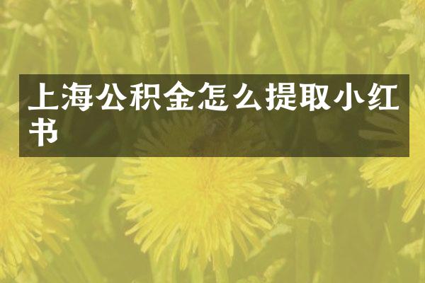 上海公积金怎么提取小红书