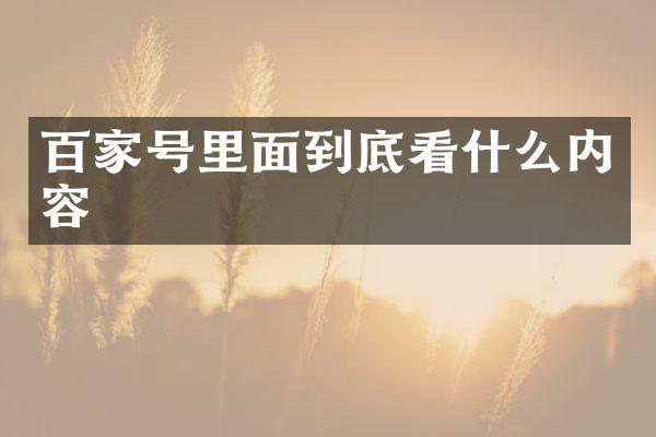 百家号里面到底看什么内容