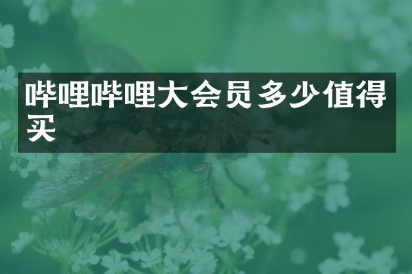 哔哩哔哩大会员多少值得买