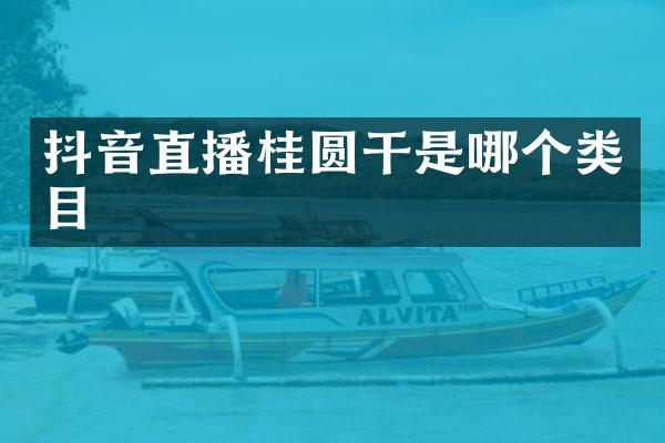 抖音直播桂圆干是哪个类目