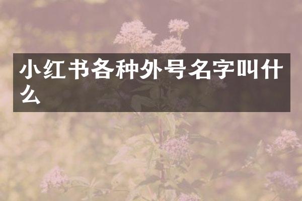 小红书各种外号名字叫什么