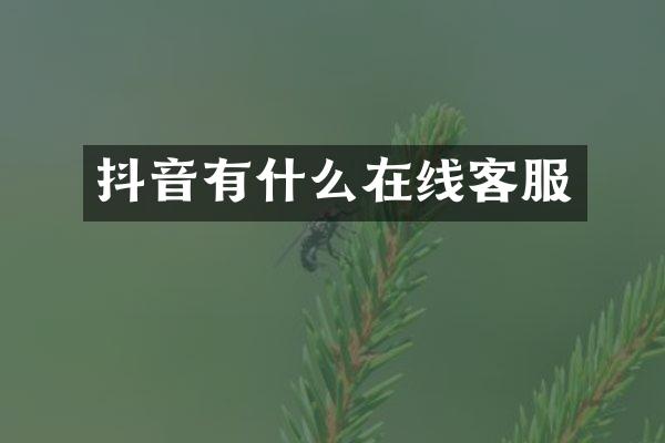 抖音有什么在线客服