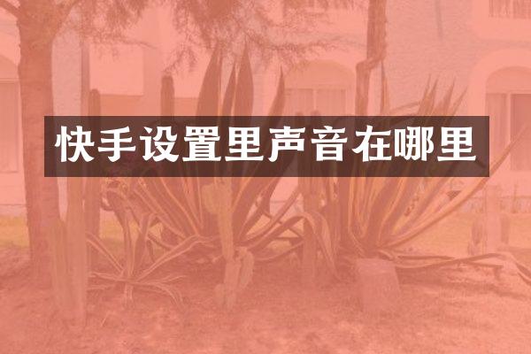快手设置里声音在哪里