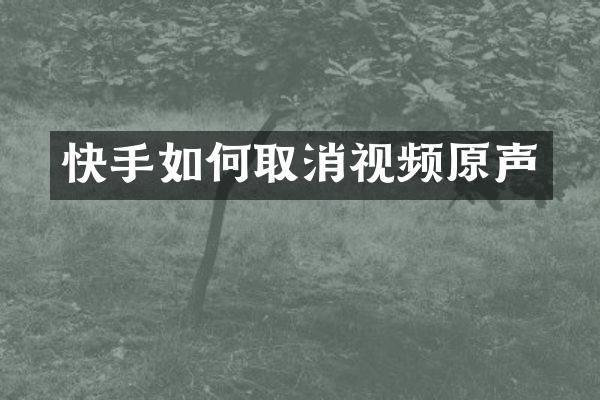 快手如何取消视频原声