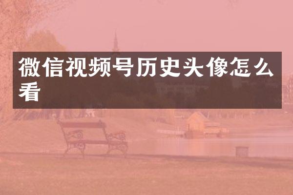 微信视频号历史头像怎么看