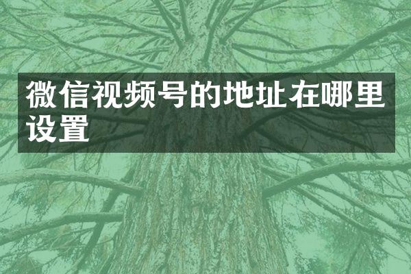 微信视频号的地址在哪里设置