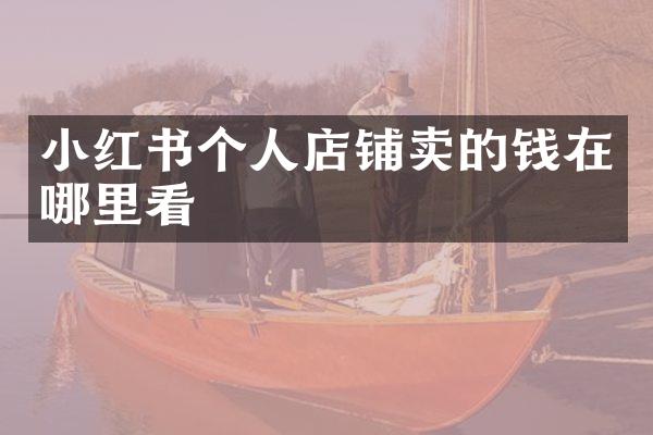 小红书个人店铺卖的钱在哪里看