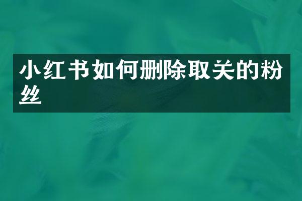 小红书如何删除取关的粉丝
