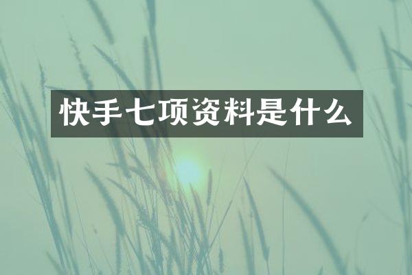 快手七项资料是什么