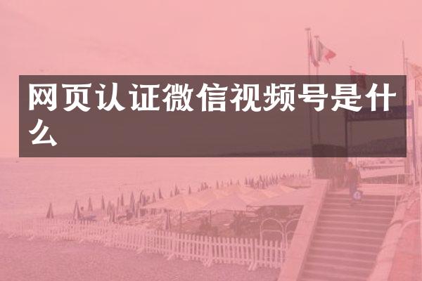 网页认证微信视频号是什么