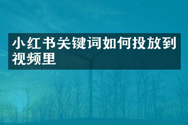 小红书关键词如何投放到视频里
