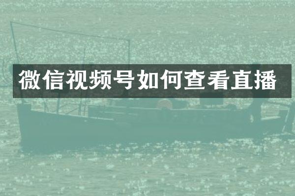 微信视频号如何查看直播