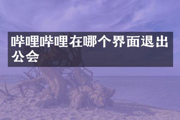 哔哩哔哩在哪个界面退出公会