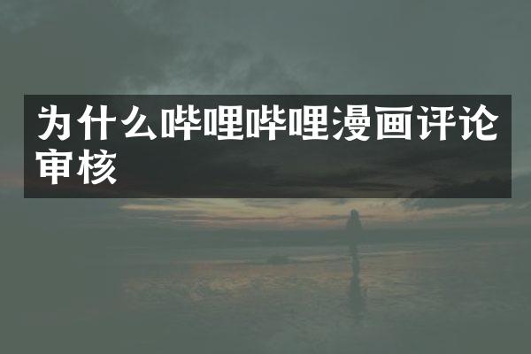 为什么哔哩哔哩漫画评论审核