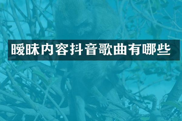 暧昧内容抖音歌曲有哪些