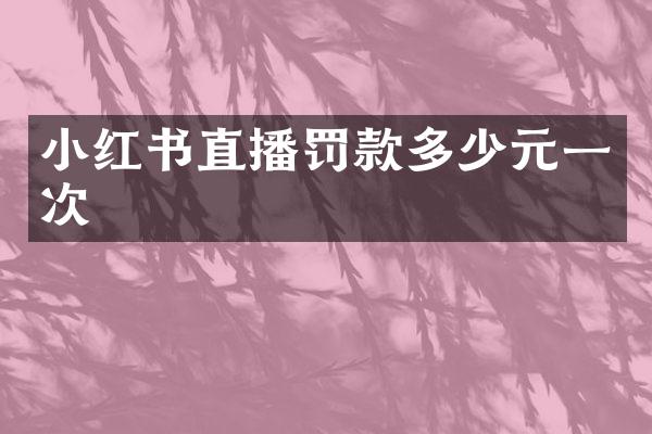 小红书直播罚款多少元一次