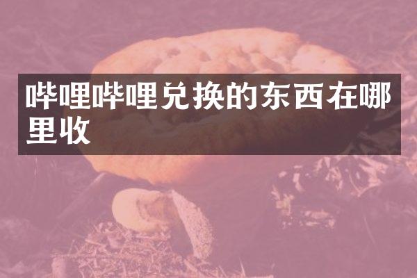 哔哩哔哩兑换的东西在哪里收