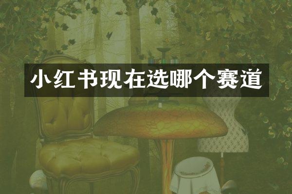 小红书现在选哪个赛道