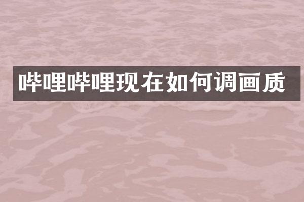 哔哩哔哩现在如何调画质