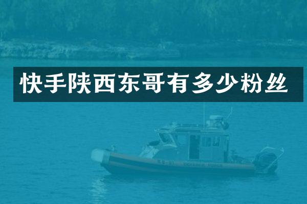 快手陕西东哥有多少粉丝