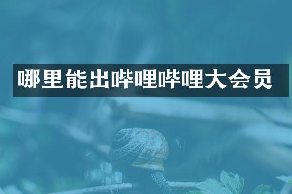 哪里能出哔哩哔哩大会员