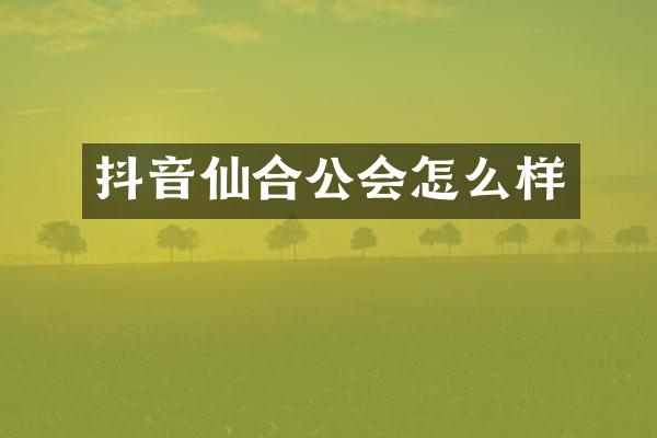 抖音仙合公会怎么样