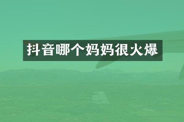 抖音哪个妈妈很火爆
