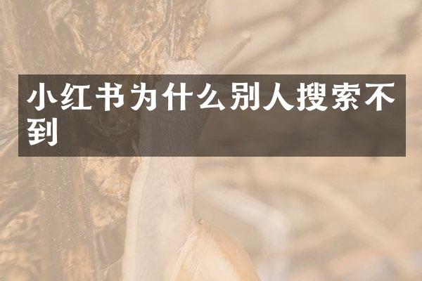 小红书为什么别人搜索不到